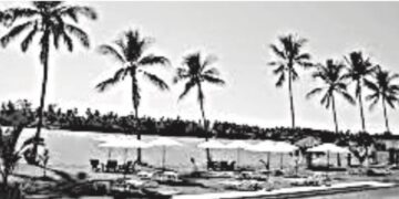 Trae buenas expectativas