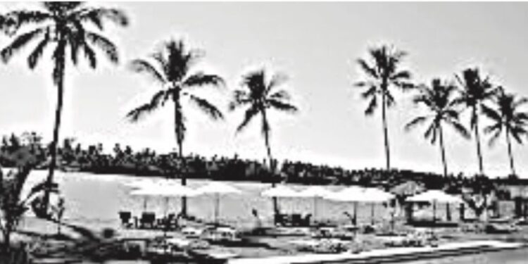 Trae buenas expectativas