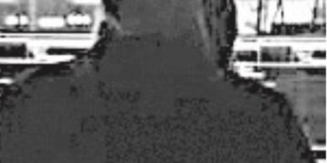 Inteligencia artificial vulnera los derechos humanos