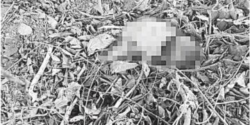 Abandonan a recién nacido