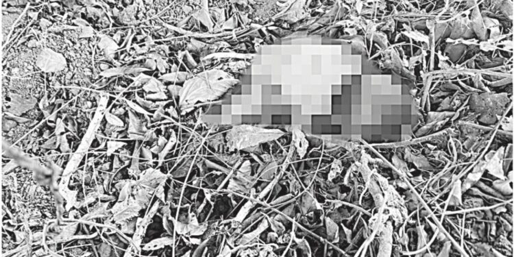 Abandonan a recién nacido