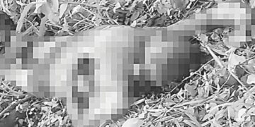 Encuentran cuerpo putrefacto