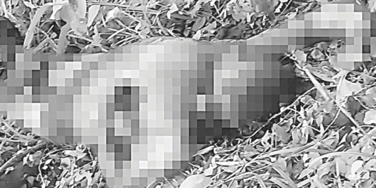 Encuentran cuerpo putrefacto