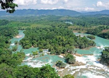 AUSTRAL
