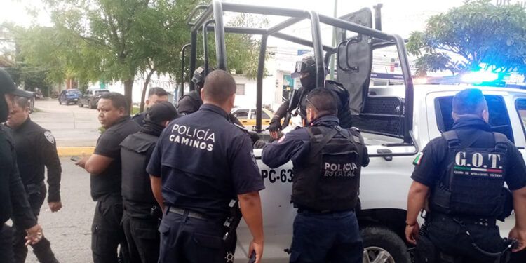 Cae rata de dos patas