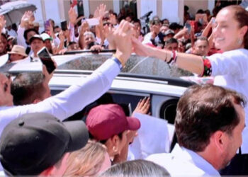 Coordinará los comités verdes a favor de Sheinbaum