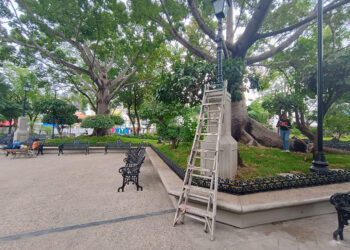 Hoy reinauguran el Parque Jardín de La Marimba