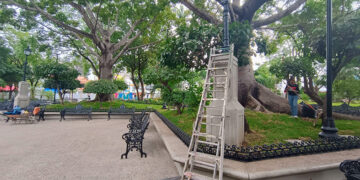 Hoy reinauguran el Parque Jardín de La Marimba