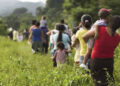 Chiapas, estado con más desplazados en 2023