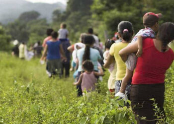 Chiapas, estado con más desplazados en 2023