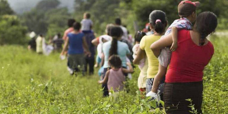 Chiapas, estado con más desplazados en 2023