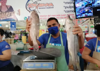 Afecta la pesca y venta de productos de mar