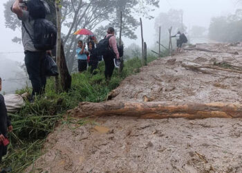 Lluvias afectan carreteras en Chiapas