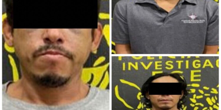 Vinculan a proceso a tres ratones