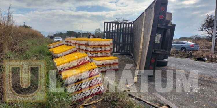 ¡La cena! Vuelca tráiler con pollos en Chiapas