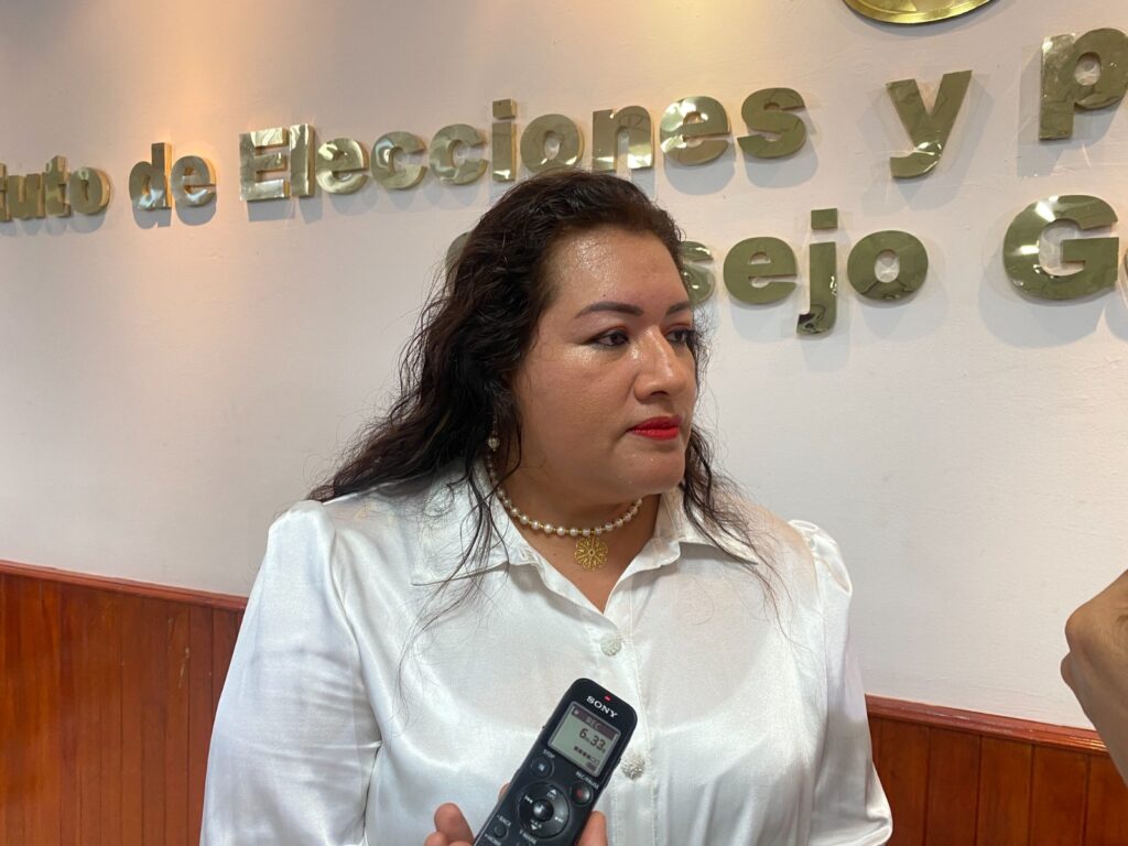 Aprovechan vacíos legales para perpetuarse: IEPC