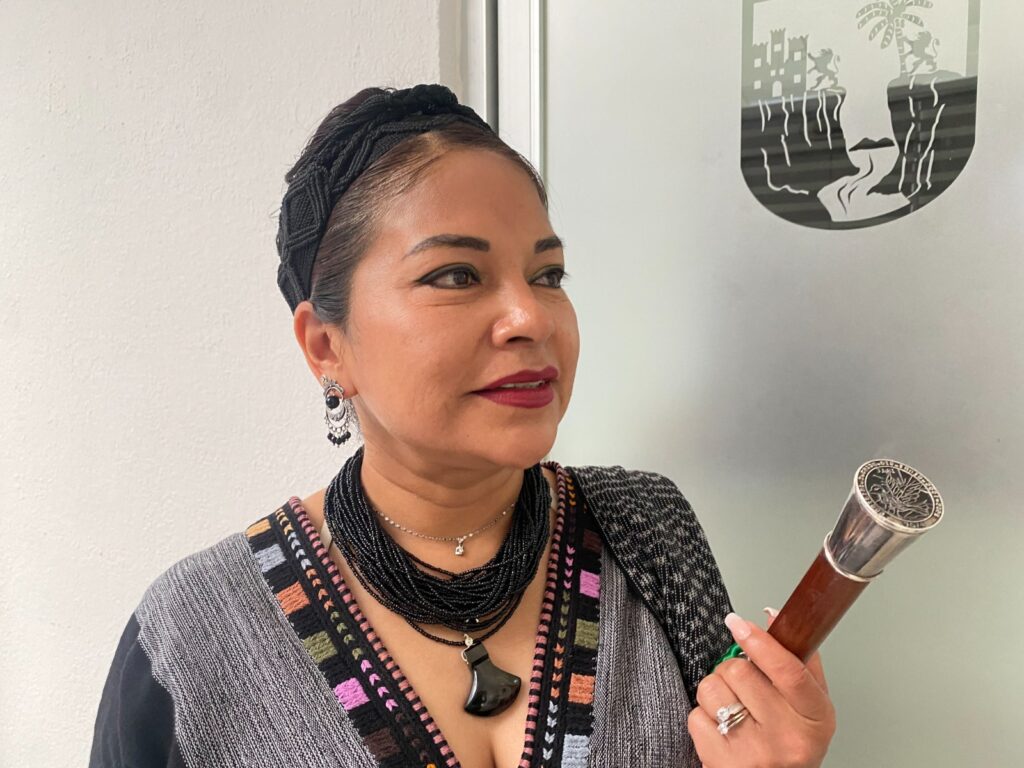 De cara al Proceso Electoral Local Ordinario; evitar la usurpación de espacios de la población indígena, demandó la diputada local Cecilia López.
