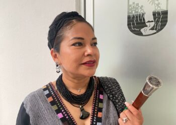 De cara al Proceso Electoral Local Ordinario; evitar la usurpación de espacios de la población indígena, demandó la diputada local Cecilia López.