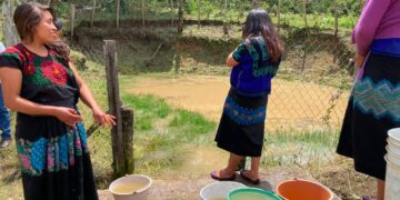 Sistemas de captación de agua, esperanza de comunidades indígenas de Chiapas