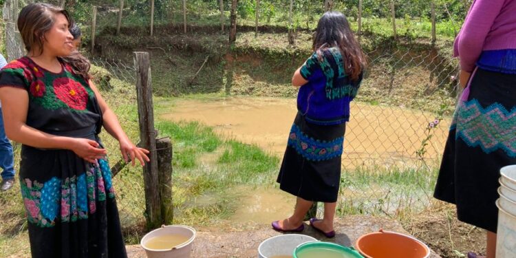 Sistemas de captación de agua, esperanza de comunidades indígenas de Chiapas