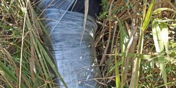 Dejan cuerpo cerca de kínder