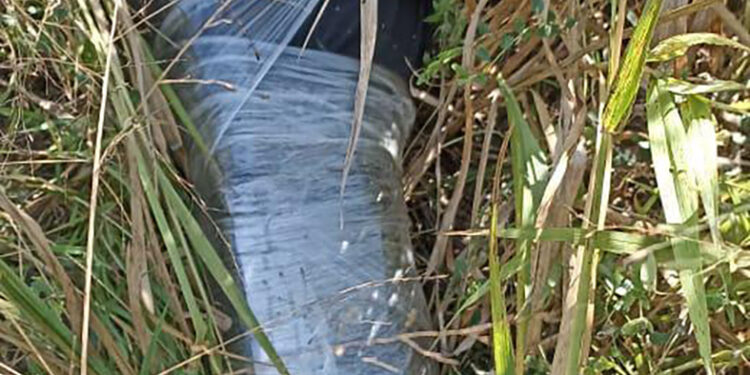 Dejan cuerpo cerca de kínder