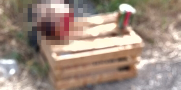 Encuentran cabeza humana