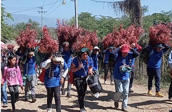 Los niños floreros; devoción, peregrinación y celebración en la búsqueda de la flor de Niluyarilo