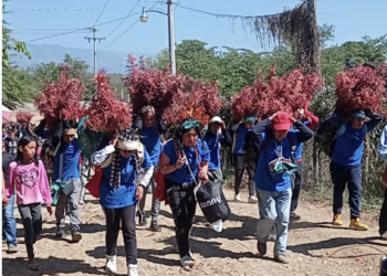 Sigue viva la tradición de la Flor de Niluyarilo