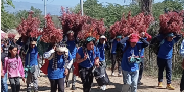 Sigue viva la tradición de la Flor de Niluyarilo