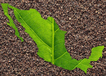 ECOLOGÍA HUMANA
