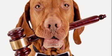 COLUMNA: BALANZA LEGAL