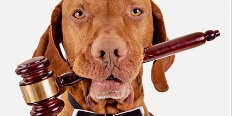 COLUMNA: BALANZA LEGAL