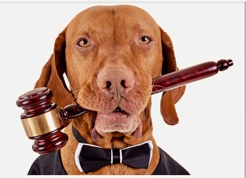 COLUMNA: BALANZA LEGAL