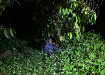 Cazan y matan al “conejo”