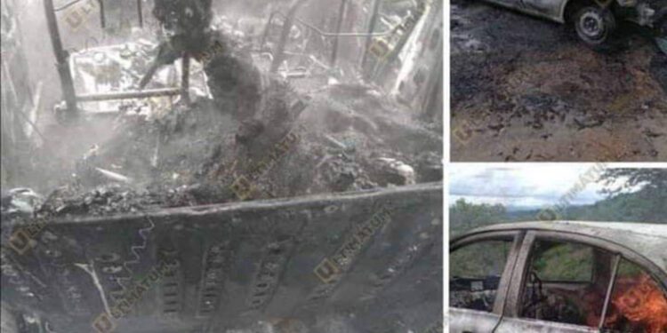 El músico y el pingüino, 110 años a la sombra