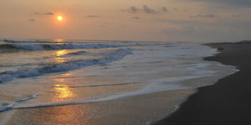 No son aptas para bañarse