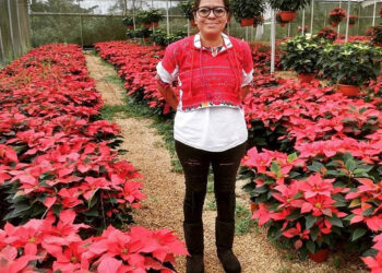Una de las aportaciones de México para el mundo
