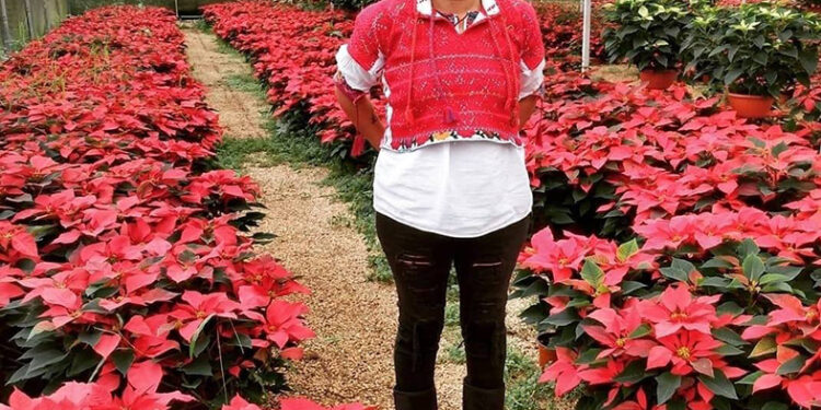 Una de las aportaciones de México para el mundo