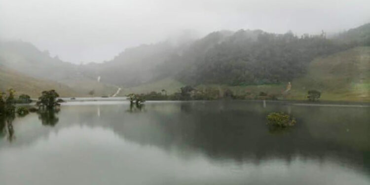 Indígenas se enfrentaron
