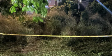 Localizan cuerpo entre el monte