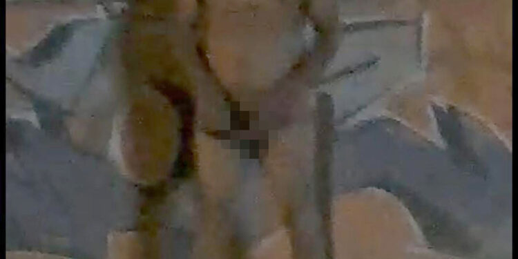 Rata que cae, paga con golpiza