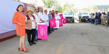 Con estas acciones se pretende disminuir la presencia del mosco causante del dengue, zika, chikungunya y paludismo.