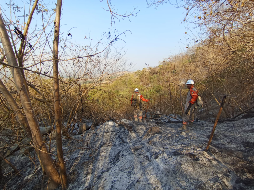 Van 307 incendios forestales en Chiapas