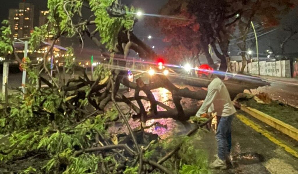 Entre las afectaciones hubo cinco vehículos que fueron dañados, por lo que pidieron no estacionarse debajo de estos cuando llueve. 