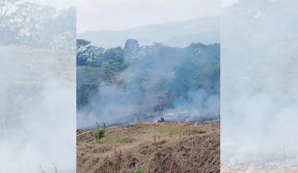 Denunciaron que cerca de una hectárea de terreno fue incendiada por ellos, además de que salen a la carretera delinquir.