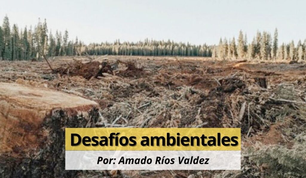 Estos retos no solo afectan al medio ambiente, sino también al bienestar social, la economía y la salud de sus habitantes, por ello les propongo estos diez grandes desafíos ambientales para este año. 