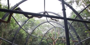 La jaula fue construida, pero el ejemplar nunca llegó. Con el cambio de administración, reina el silencio y crece la duda sobre el destino del proyecto.