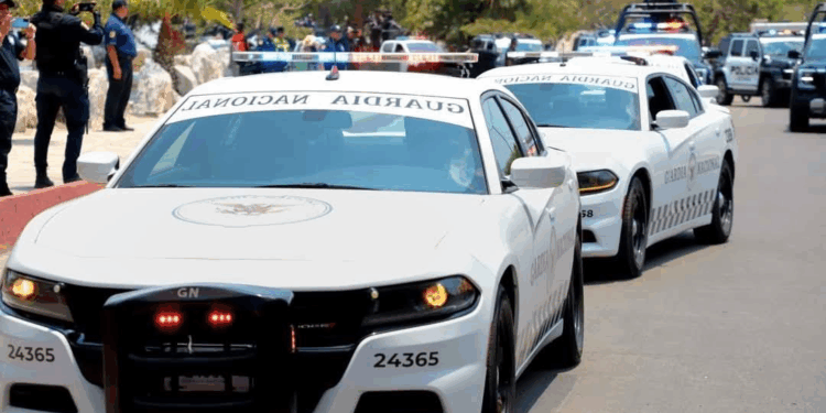 Se tuvo una afluencia aproximada de 260 mil turistas y se brindaron un estimado de 3 mil servicios de apoyo.