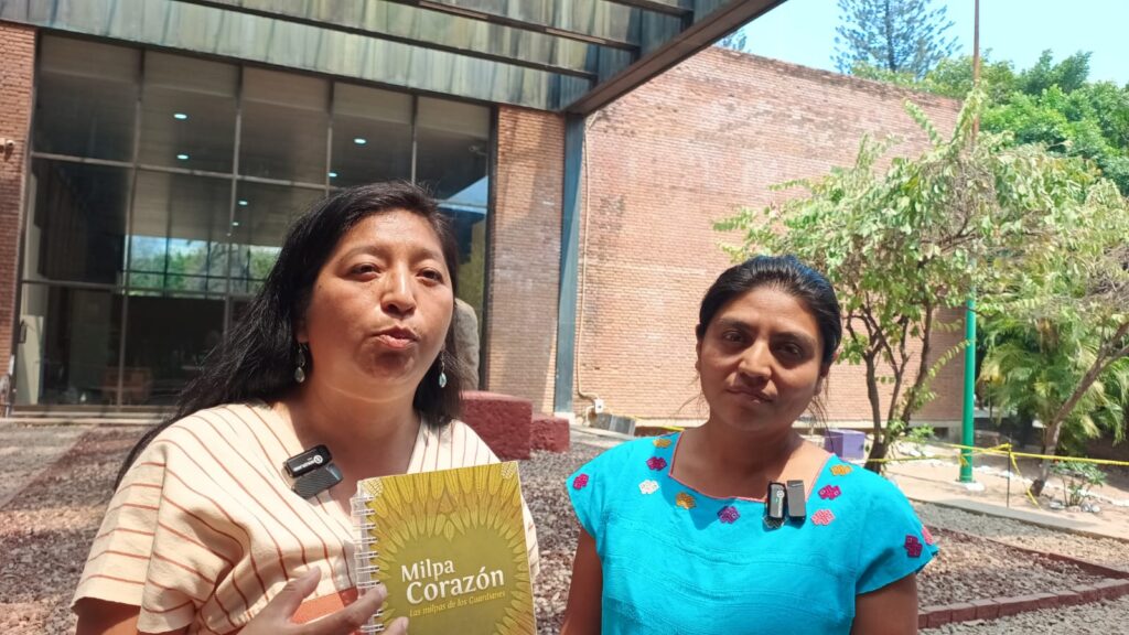 Guardianas del sabor, protegen la semilla sagrada.